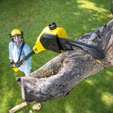 Best Pest Control for Lawns  in Justice, IL